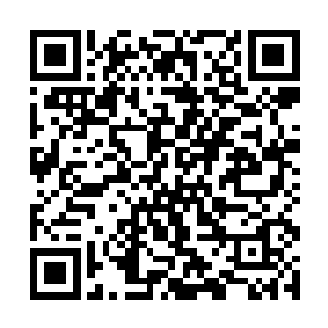 这个地宫可是跟以往的时候杨戬遇到的情况完全不同二维码生成