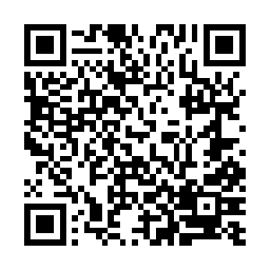 这个地尊后期巅峰的穿山甲一定不是创建这里的大妖……二维码生成