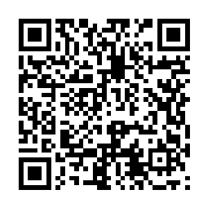 这个地方对于修炼之人来说绝对是圣地一般的存在二维码生成