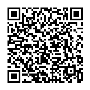 这个地方必定会成为费南――特别是大灾变后的费南大陆上一颗最耀眼的明珠二维码生成