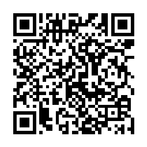 这个地方杨戬可是计划作为问道宗在神之大陆的大本营的二维码生成