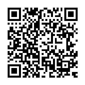这个场面就如同一个湖泊在霍君白的法术催动下竖直立起一般二维码生成