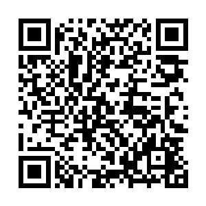 这个声音和我之前在灵界创建界王决的时候出现的声音很像二维码生成