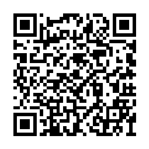 这个声音的恐怖程度已经超出了人耳的可听范围二维码生成