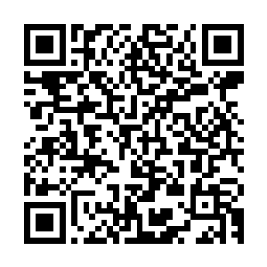 这个声音跟我被美女蛇吸入体内时听到的那个声音频率是一样的二维码生成