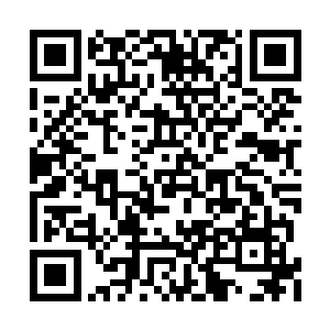 这个外面是指这里尚未被妖兽破坏的时候的样子二维码生成