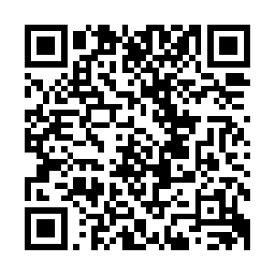 这个大厅和张铁炼化吸收魔族男爵地之脉轮的进度简直是绝配二维码生成