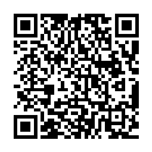 这个大后期阵容也比较符合他们的风格------相比起来二维码生成