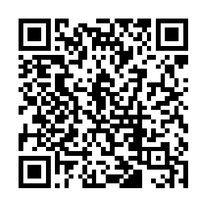 这个大家伙自从进入海域开始就一直在给他制造麻烦二维码生成