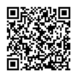 这个大阵如今已经看不出来究竟是一个什么阵法二维码生成