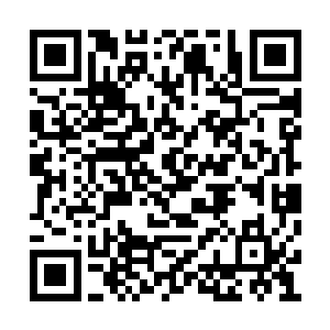 这个大阵就是亚蒂蓝魔耗时一个月才布置出來的二维码生成