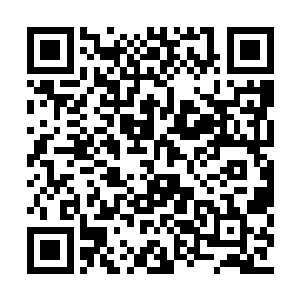 这个大阵就是亚蒂蓝魔耗时一个月才布置出来的二维码生成