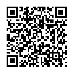 这个大阵要比当初仙主宫的那个万妖大阵大上百倍二维码生成