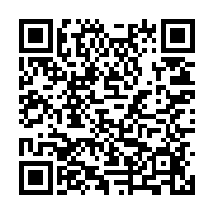 这个大陆上和神界还有魔界的通道都已经被封死了二维码生成