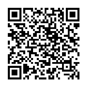 这个大陆自脱离了魔域版图之后就已经枯死衰败了二维码生成