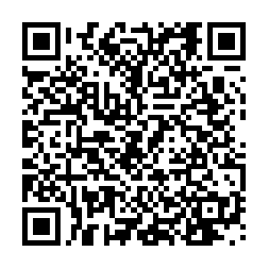 这个天尊高手的神婴竟然是自己认识的yin月宗的太上长老yin月天尊的神婴二维码生成