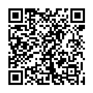 这个天才当日可是见到了韩风在混沌冰龙一族肆虐的威风二维码生成
