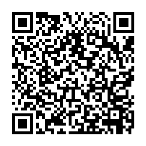 这个天星老人绝对是自己遇到的所有的登天九重顶峰的高手之中实力最差的二维码生成