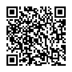 这个天赋能力还在刚刚对付双生人的时候派上了大用场二维码生成