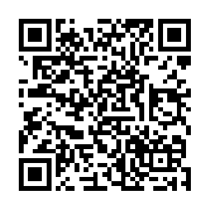 这个套路我在一开始决定周旋时就在心里演化了无数遍了二维码生成