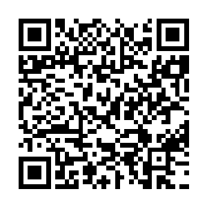 这个女人倒是比躺在病床~上的那个小乞丐强得多二维码生成