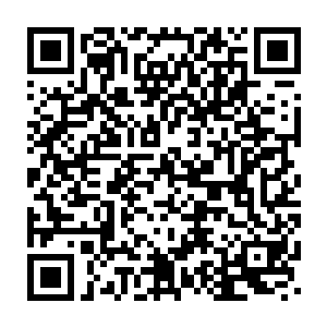 这个女人瘫坐在在一边抱着另外一个还在襁褓中的孩子大声的哭泣着二维码生成