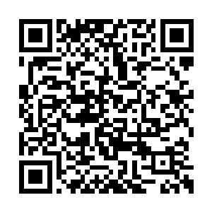 这个女人给人一眼看过去的感觉就是很清爽大方二维码生成