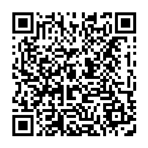 这个女子没有脸……画了身体画了细节画了一切的一切就是没有花那最重要的脸二维码生成