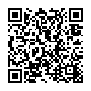 这个女黑人似乎认为自己有资格和陈小练谈条件了二维码生成