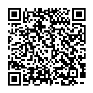 这个妖孽学霸级别的美女辅导员王雅君是那龙组长老团王滔长老的孙女二维码生成