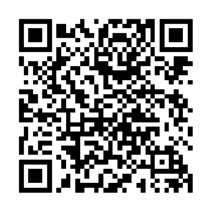 这个娇滴滴的奶牛今天上身只穿了一件雪纺的蓝色吊带二维码生成