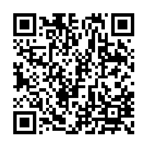 这个孙启明也要跟着吕莎莎叫自己一声师兄才是二维码生成