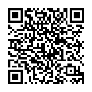 这个学院里面除了白芷璃不可以被轻而易举的开除之外二维码生成