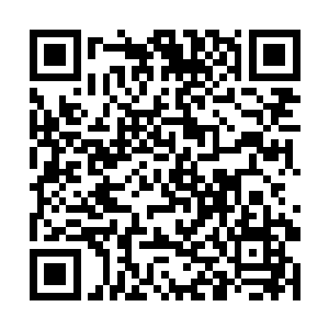 这个孩子就是当时君无极替她解毒的时候留下的孽种二维码生成