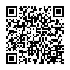 这个孩子气无比的少年不是他们那个飘逸如谪仙的非笑吧二维码生成