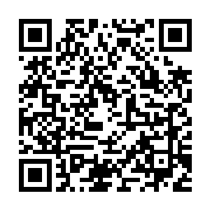 这个孩子的眼睛搞不好真的自带ps效果的神眼也说不定呢二维码生成