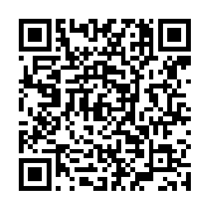 这个宝船的速度比被噬金蚁吃掉的遁光梭还要快上几倍二维码生成