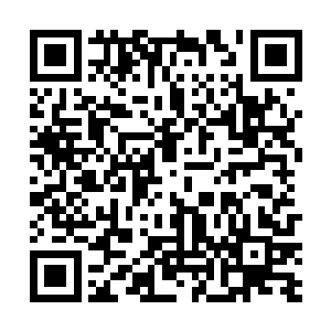 这个家伙应该是一个非常喜欢炫耀自己权利和金钱的人二维码生成