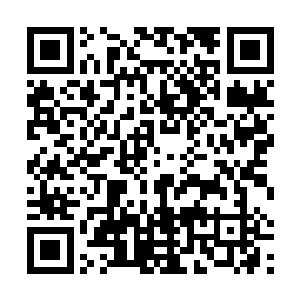 这个家伙总是喜欢将所有的东西全部背负到自己的身上二维码生成