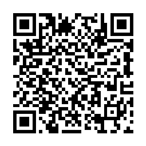 这个家伙根本就没有领会到去军区那边的意义所在二维码生成