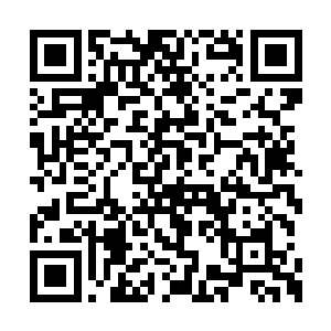 这个家伙站起来过后并没有出现任何畏惧的表情二维码生成