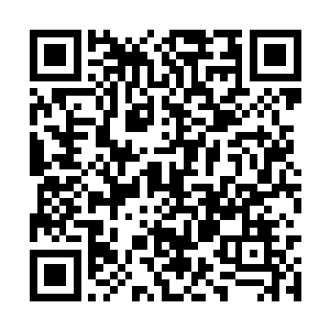 这个家族的族长连续几代都是公国的摄政大臣……二维码生成