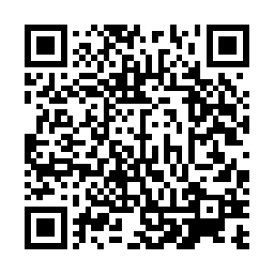 这个小世界的出现完全是因为自己领悟了不同的空间法则二维码生成