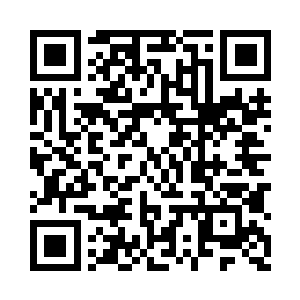 这个小东西还是需要两个小家伙自行的去照顾二维码生成