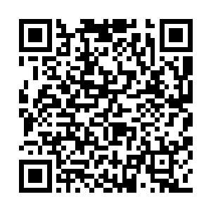 这个小丫头也故意没有施展辅助阵法的全部力量二维码生成