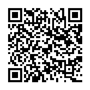 这个小丫头是小嫂子那边的个什么远房亲戚来的吧二维码生成