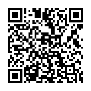 这个小动作让一边看着监视器的张东城很是满意二维码生成