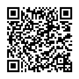 这个小子绝对不可能在这么快的时间里面掌握好空间法则二维码生成