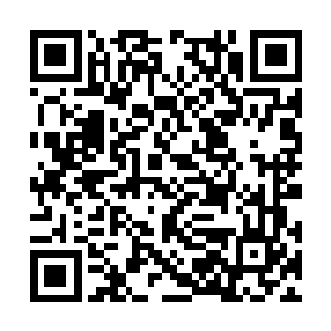 这个小岛每年都只有两个月的时间会出现在海绵上二维码生成