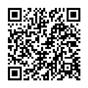 这个小白脸竟然敢打市委党组书记魏振伦的儿子二维码生成